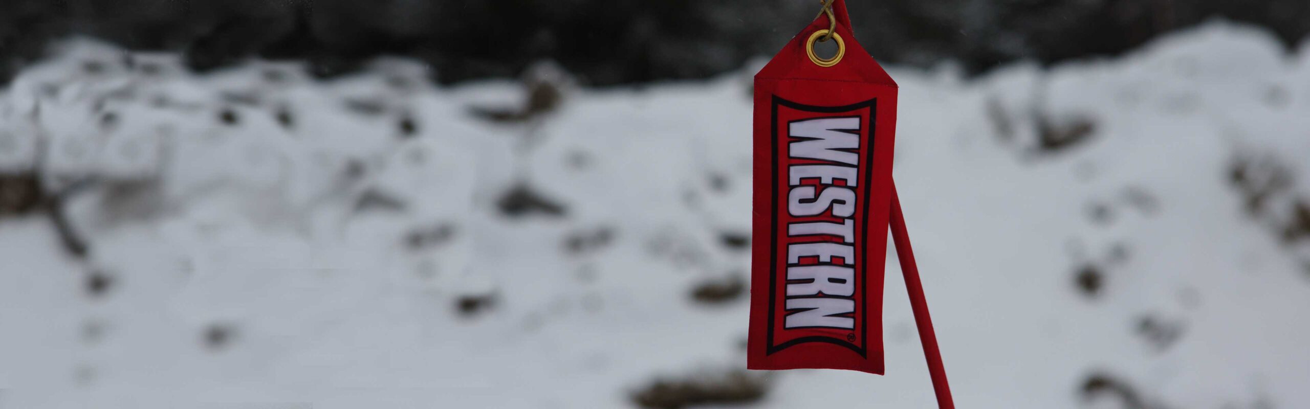 western compare products promo banner